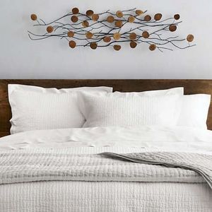 Crate & Barrel Teakroot wall art set of 2